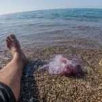 Soigner une piqûre de méduse à un pied 