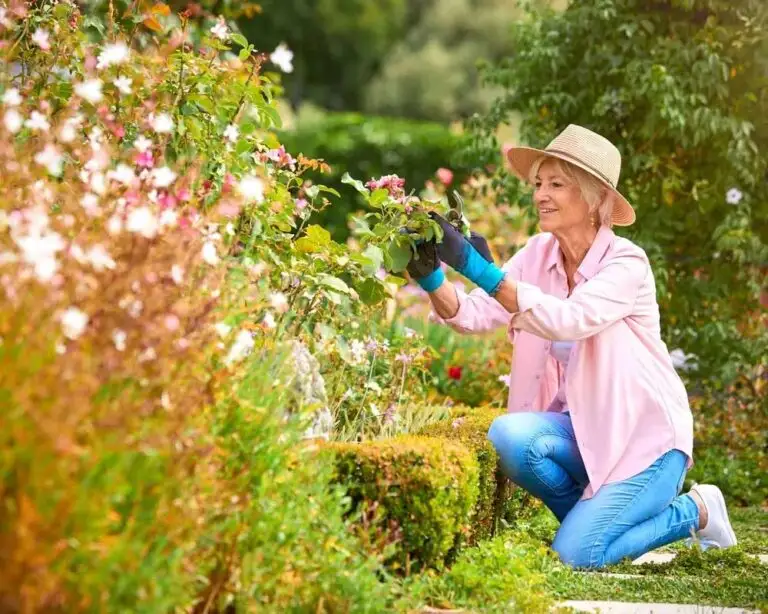 Image de :Préservez vos genoux en jardinant : trois conseils de votre podiatre