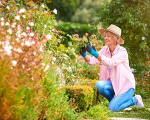 Image de :Préservez vos genoux en jardinant : trois conseils de votre podiatre